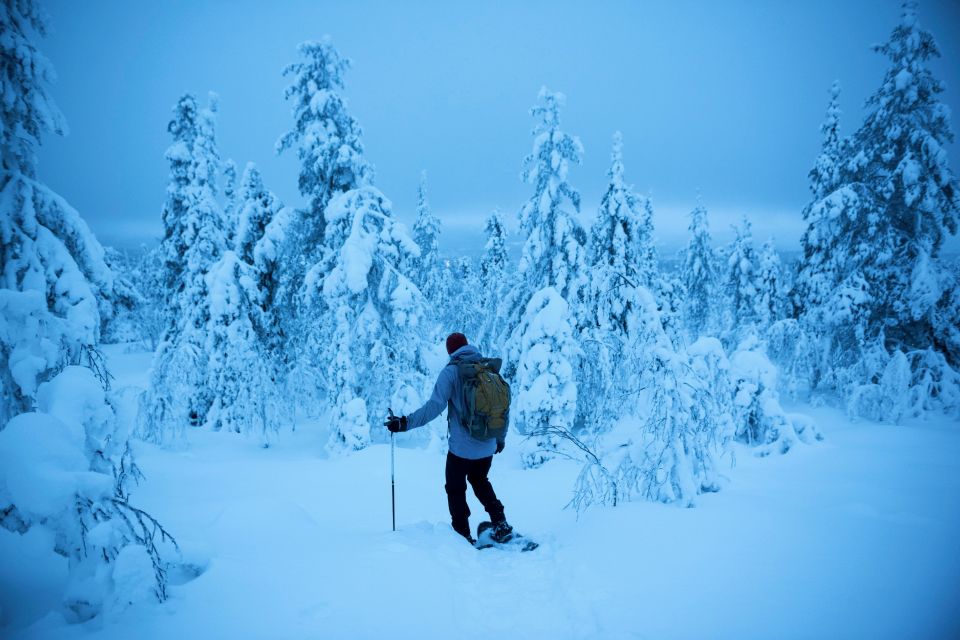 Person snowshoeing in a snowy forest.