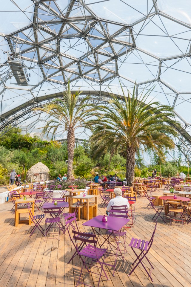 Outdoor cafe seating area at the Eden Project.