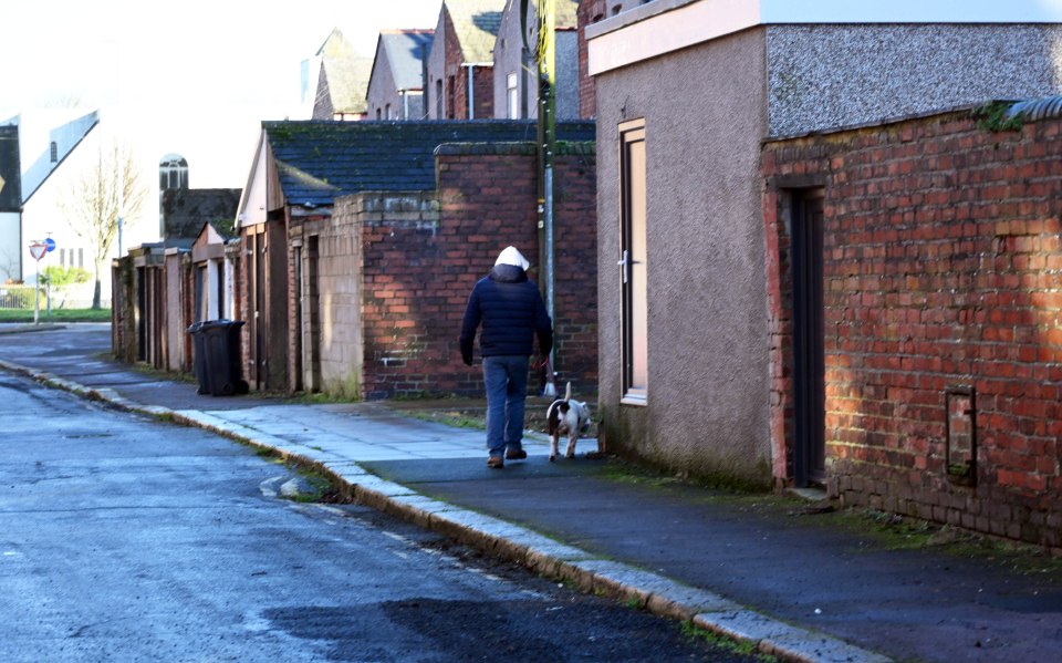Person walking a dog down a residential street.