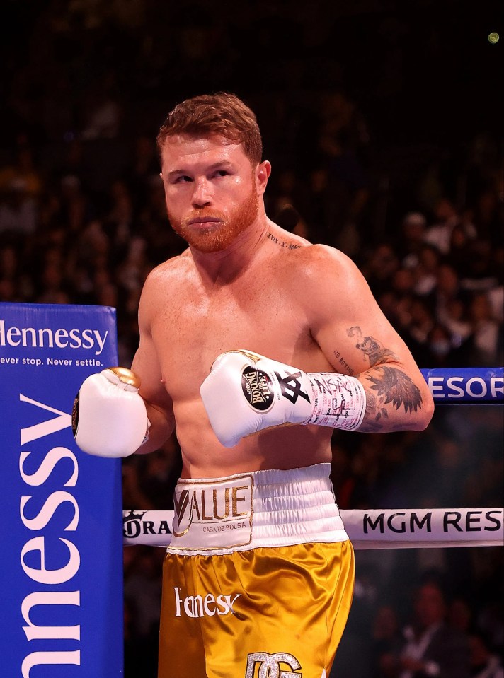 Canelo Alvarez in boxing ring.