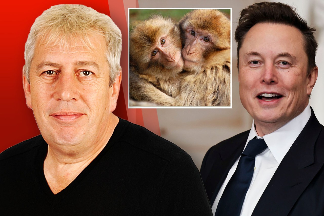 Collage of two men and two monkeys hugging.