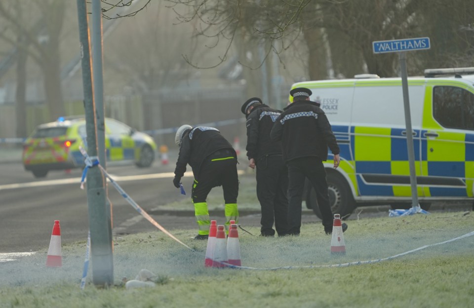 Police officers investigating a hit and run.