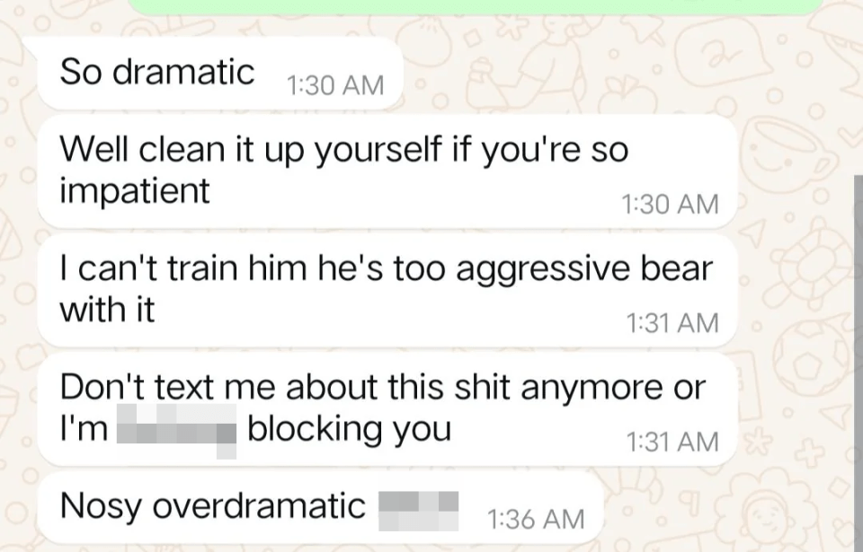 Screenshot of a text message conversation.