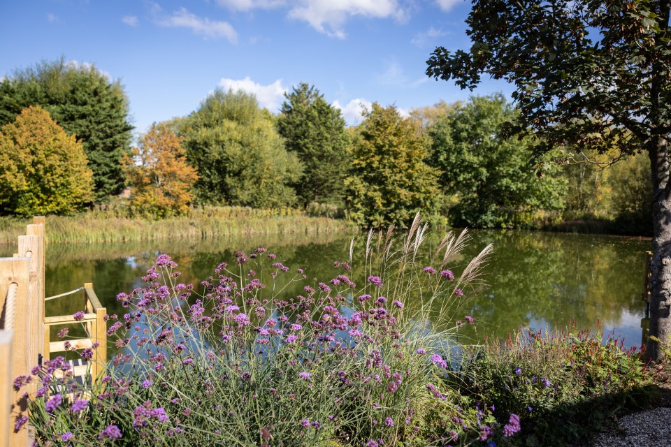 Pond at Tewinbury Farm Hotel, Hertfordshire, with purple flowers in the foreground.