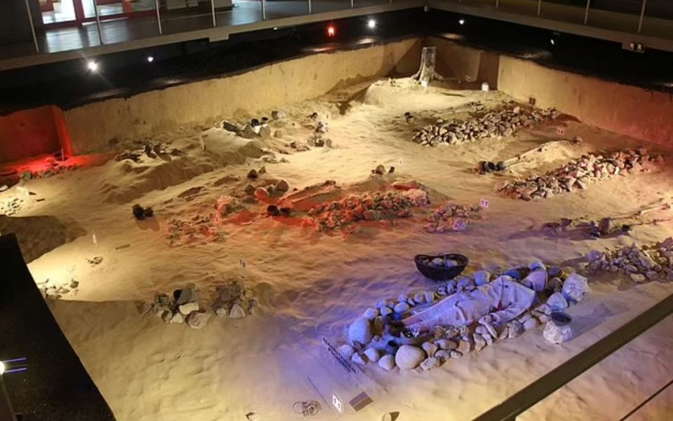 Archaeological excavation site showing ancient burials.