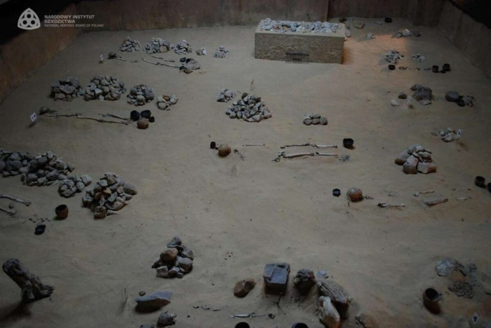 Aerial view of an archaeological dig site showing human remains and artifacts.
