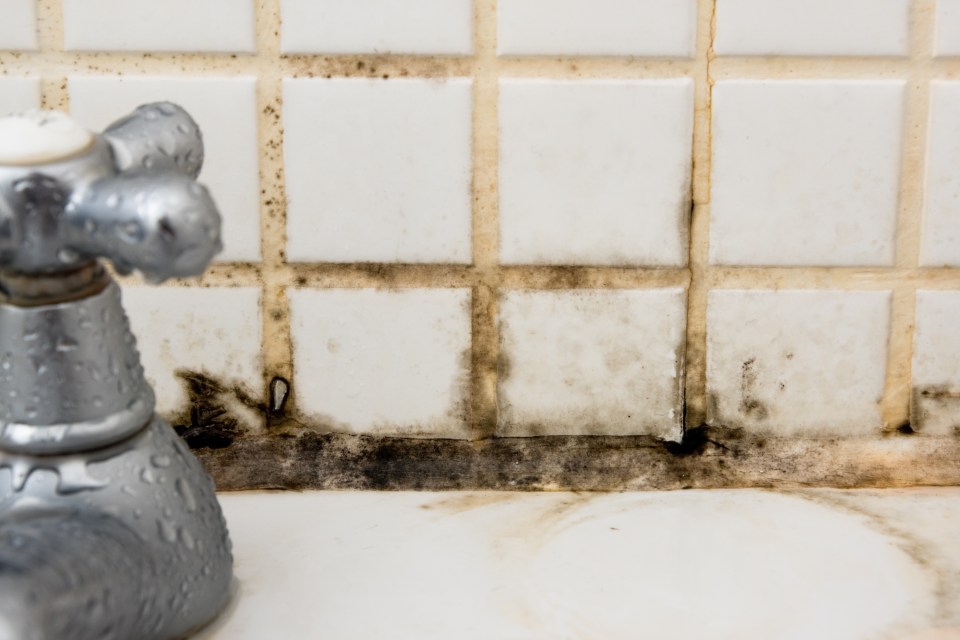 Mold and mildew growth on bathroom tiles behind a faucet.
