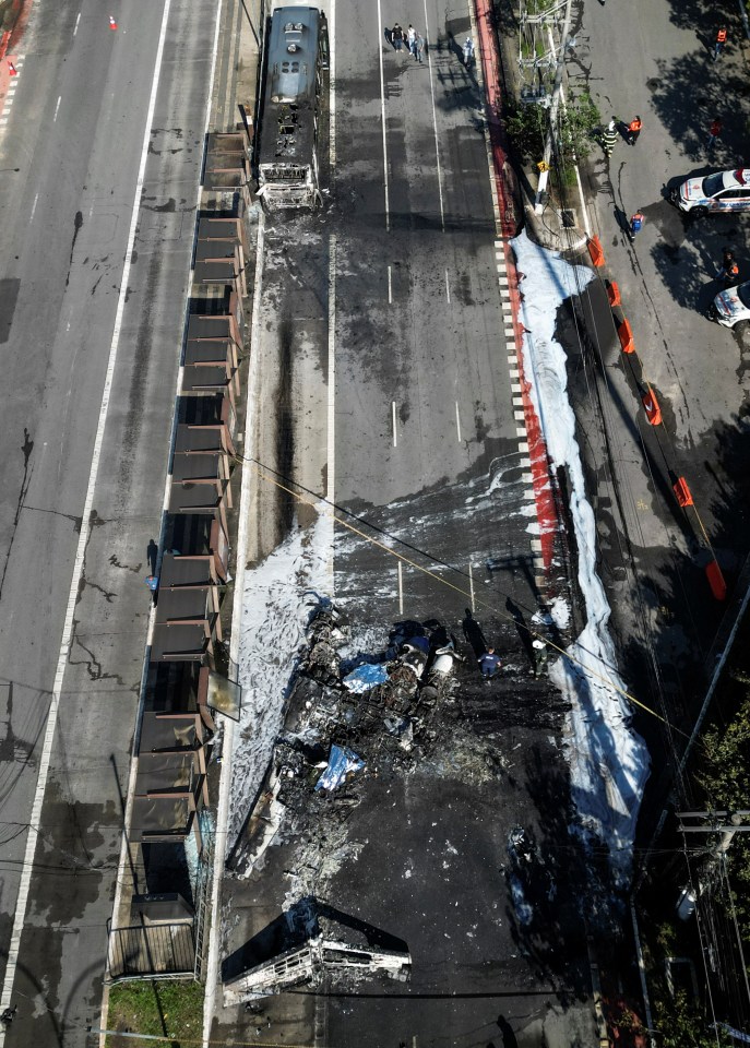 Drone view of a small plane crash site.