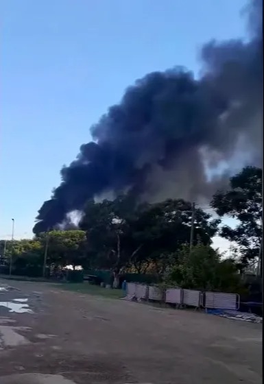 Large plume of black smoke rising above trees.