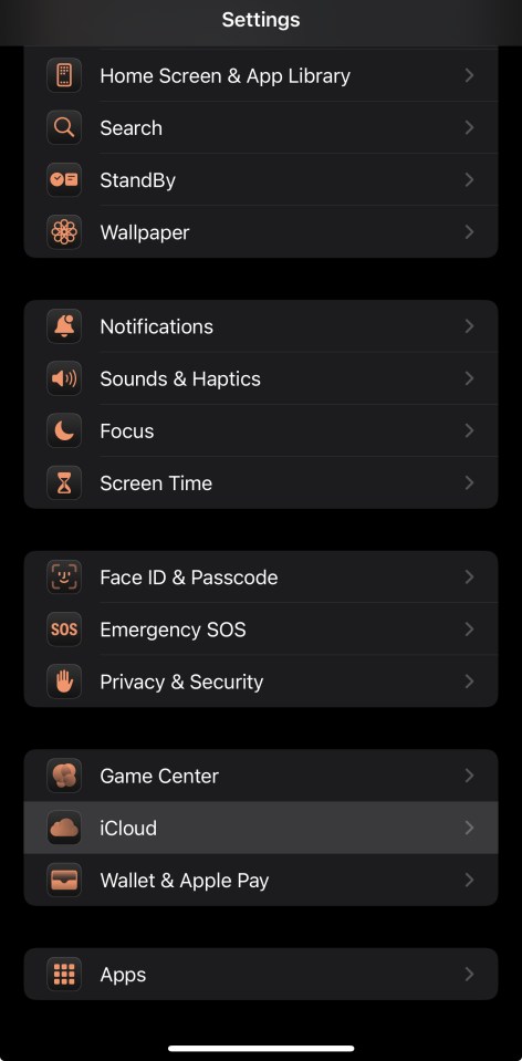 Screenshot of iPhone settings menu.