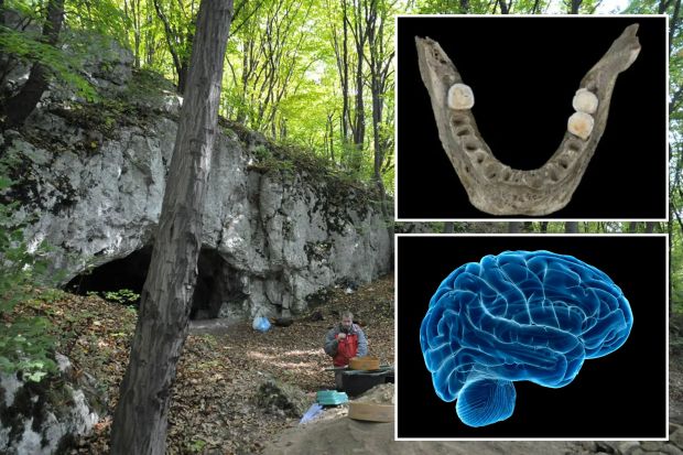 Gruesome evidence of early European cannibals who ate the BRAINS of their enemies to celebrate war victories uncovered