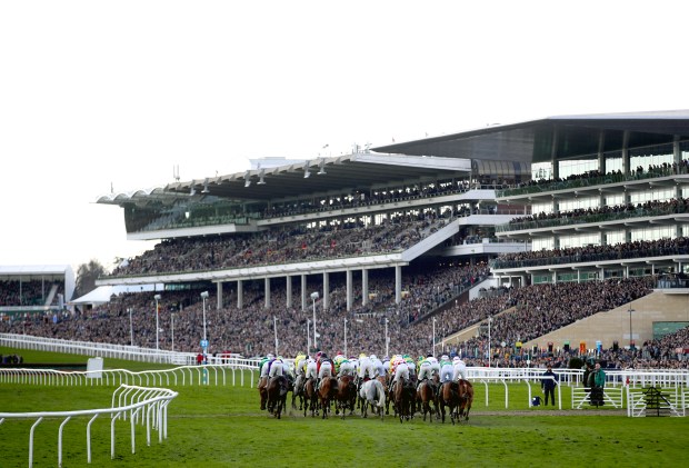 Horse race at Cheltenham Racecourse.