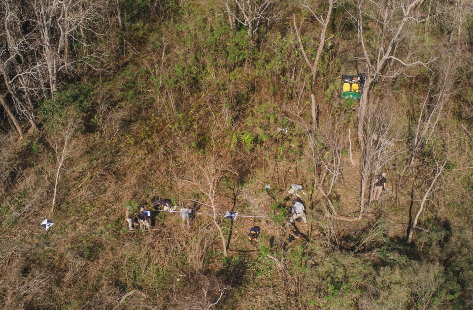 Aerial view of a crime scene investigation in a wooded area.
