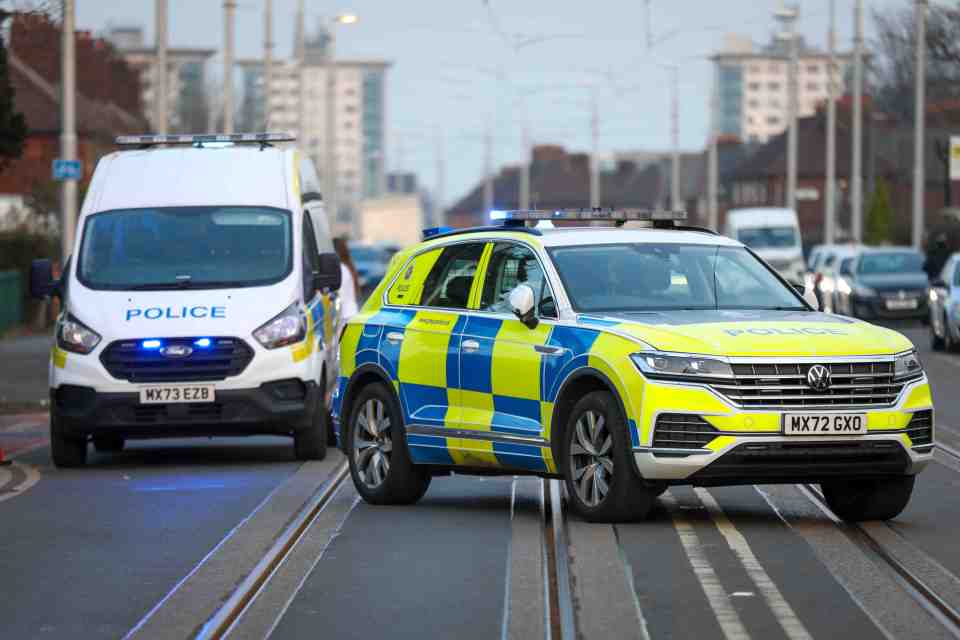 Police cars at the scene of an accident.