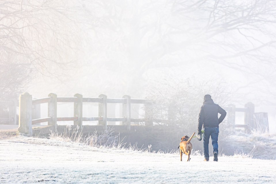 Person walking a dog in a frosty park.
