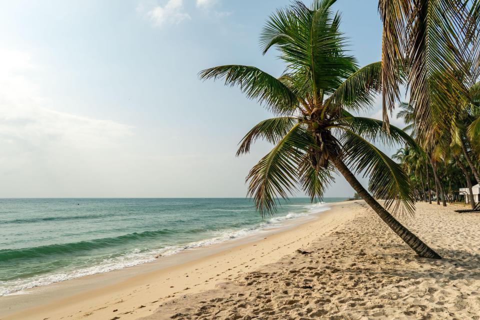 Palm tree leaning over a sandy beach next to the ocean.