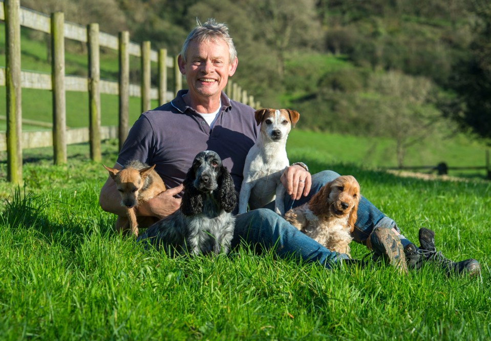 Martin Clunes sitting in a grassy field with four dogs.