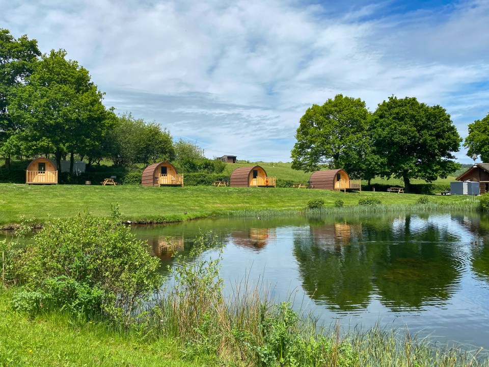 Four cabins by a pond.