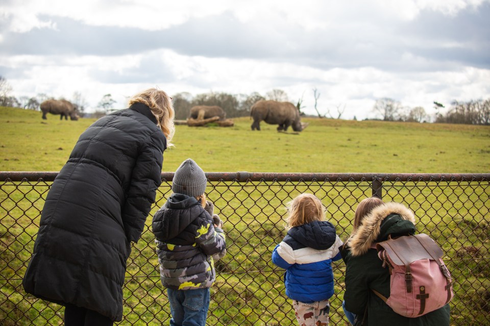 Family viewing rhinos behind a fence.