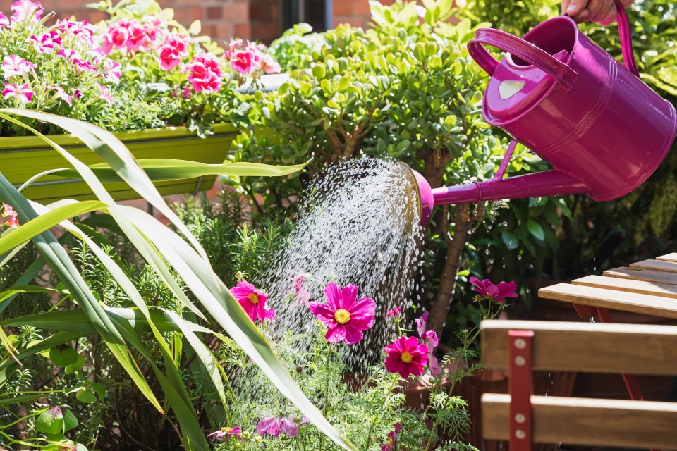 Watering flowers on a balcony with a pink watering can.