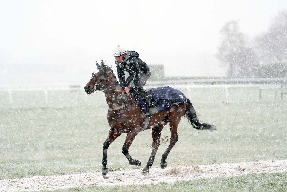 Horse and jockey warming up in the snow.