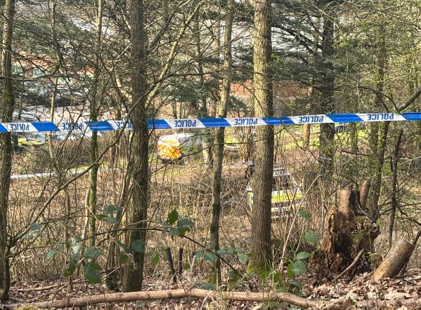 Police tape across a wooded area with police vehicles visible in the background.