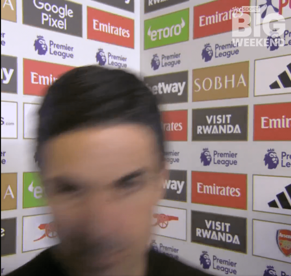 Screenshot of a person's face blurred, in front of a Premier League sponsor wall.