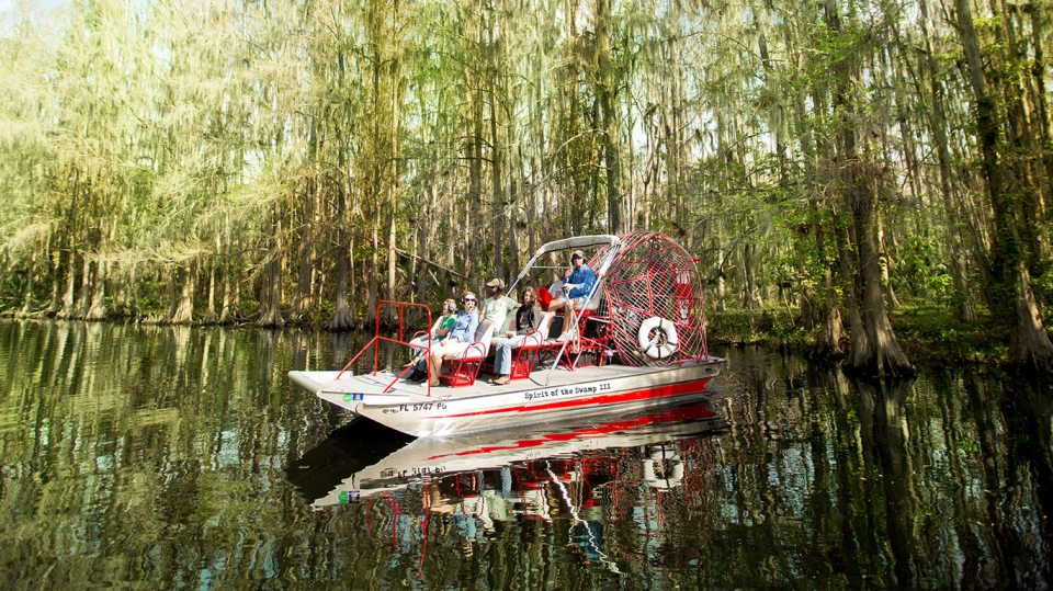 Airboat tour through a swamp.