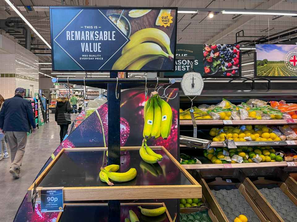 Bananas on display in a grocery store.