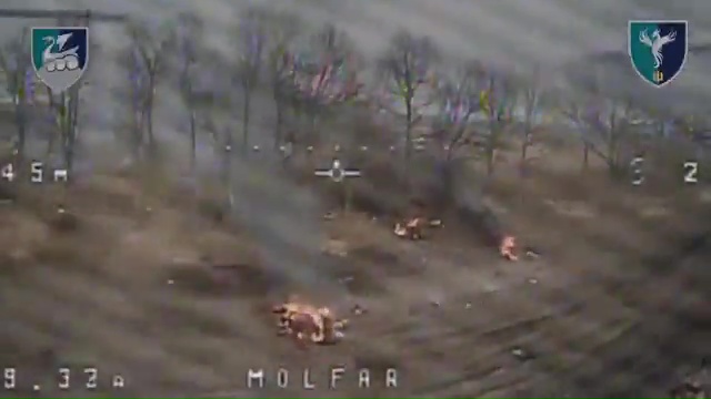 Aerial view of burning vehicles in a wooded area.