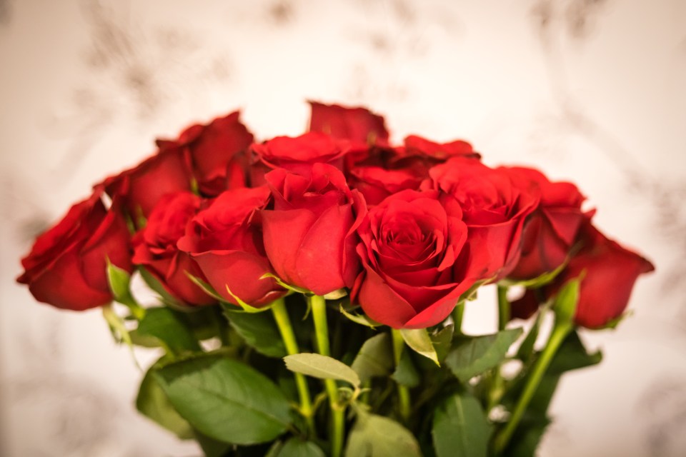 A bouquet of red roses.