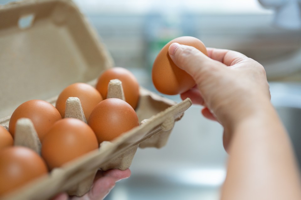 Person holding a carton of fresh eggs.