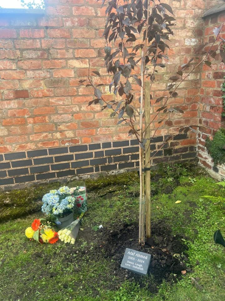 Memorial tree planted in memory of Afaf Ahmed (2005-2024).