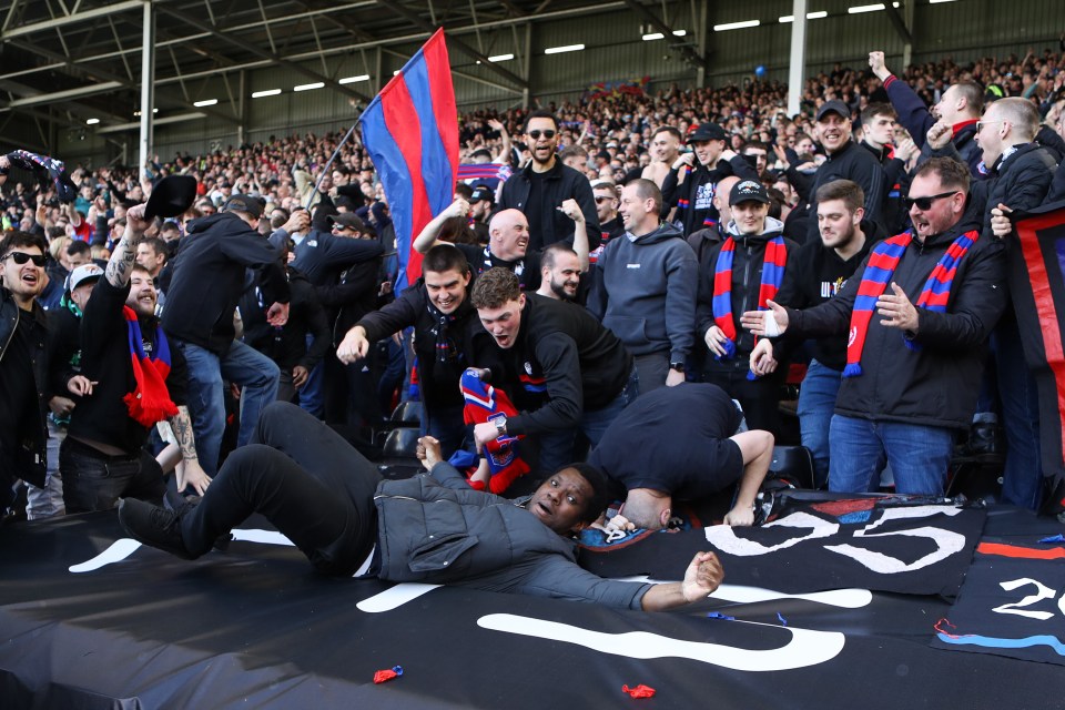 Crystal Palace fans celebrating a goal.