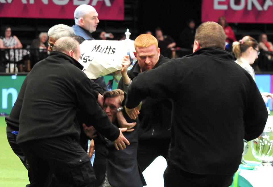 A protester holding a sign that says "Mutts Against Crufts" is being escorted away by security at a dog show.