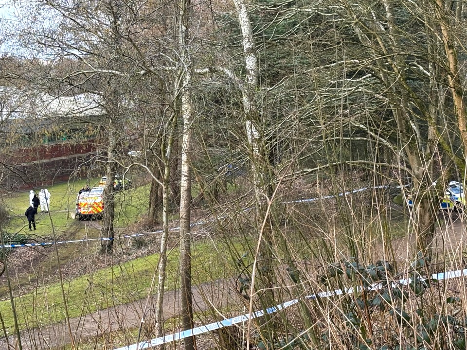 Police cordon and officers at a crime scene.