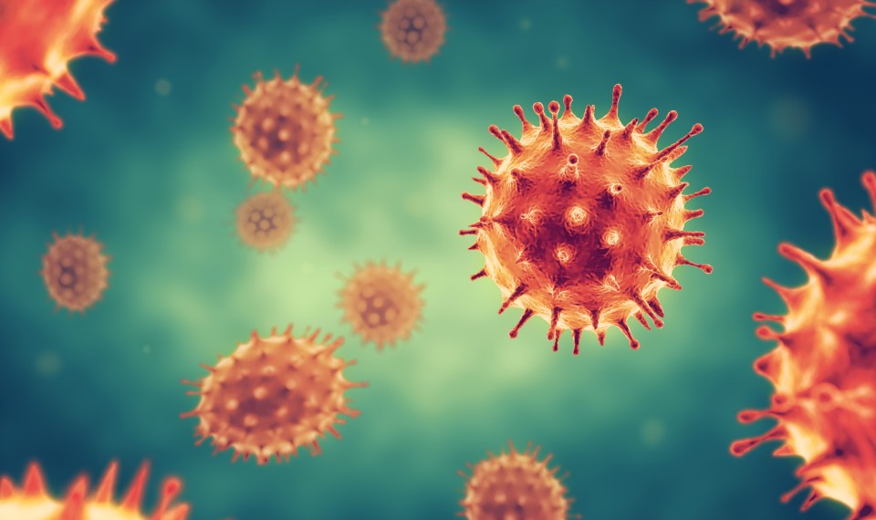 Illustration of virus cells.