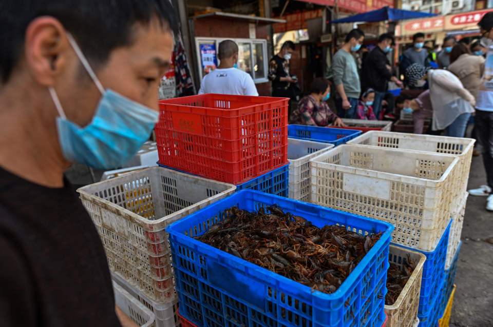Crates of crayfish at a market.