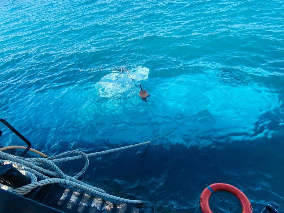 Submerged object in clear blue water near a boat.
