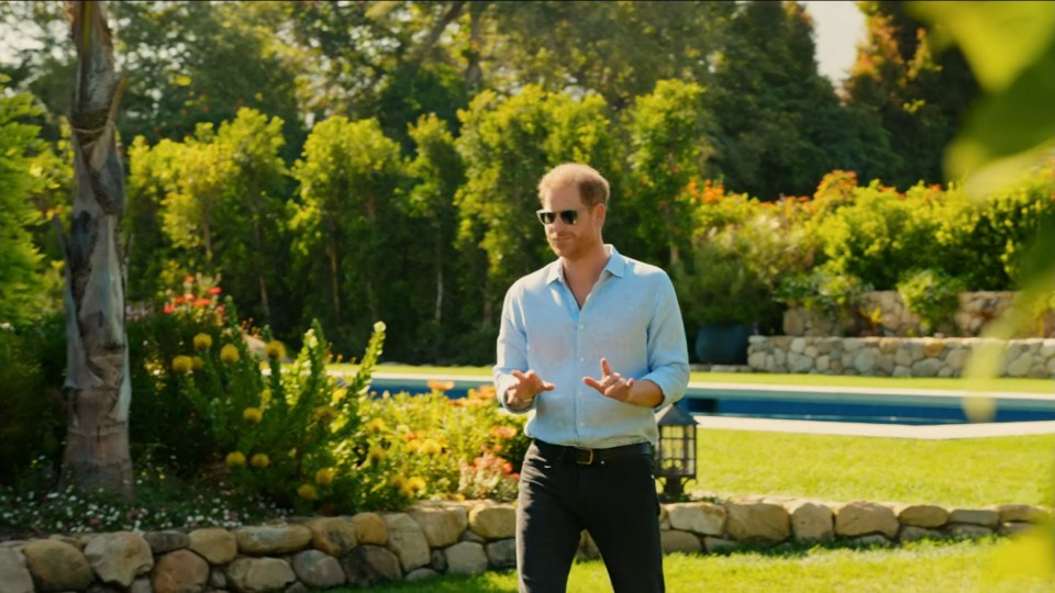 Prince Harry in a light blue shirt and sunglasses, gesturing in a garden.