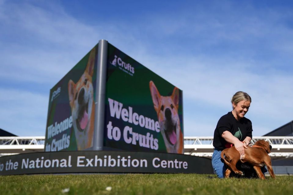An image collage containing 1 images, Image 1 shows Ellie Simmonds with Cocker Spaniel puppies at the Crufts Dog Show 2025 launch