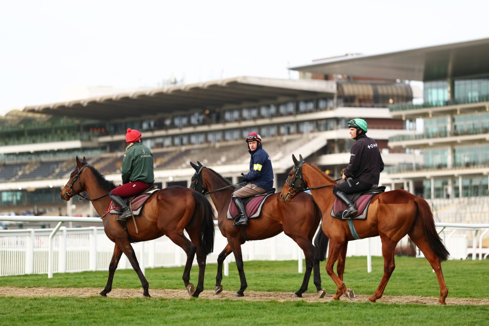 Three jockeys on horseback at Cheltenham Racecourse.