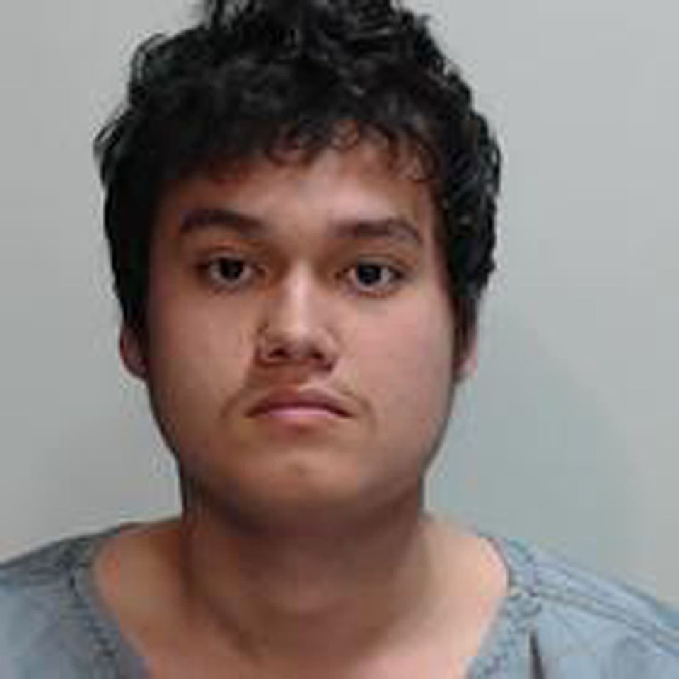 Mugshot of Gabrielle Friel.