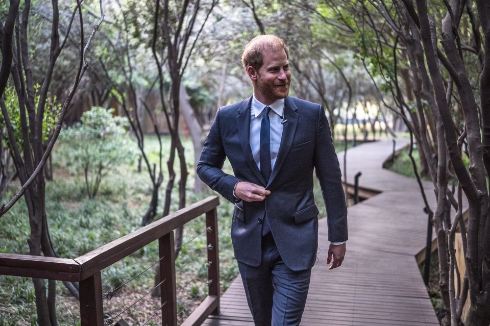Prince Harry walking on a wooden path.