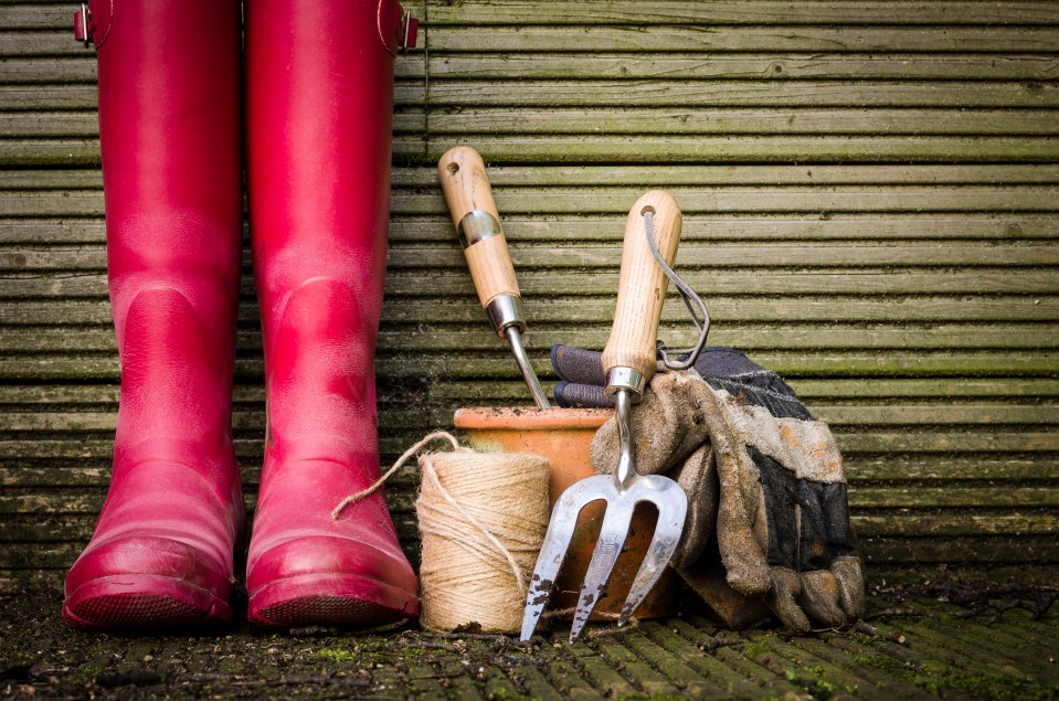 Red rain boots and gardening tools leaning against a shed.