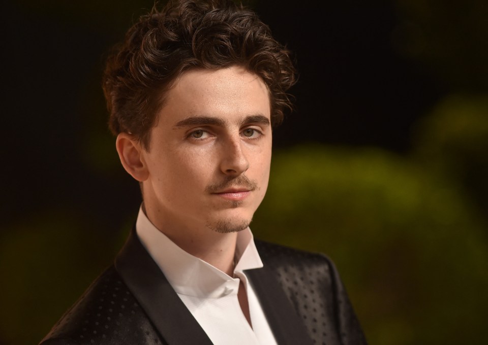Timothee Chalamet at the Vanity Fair Oscar Party.