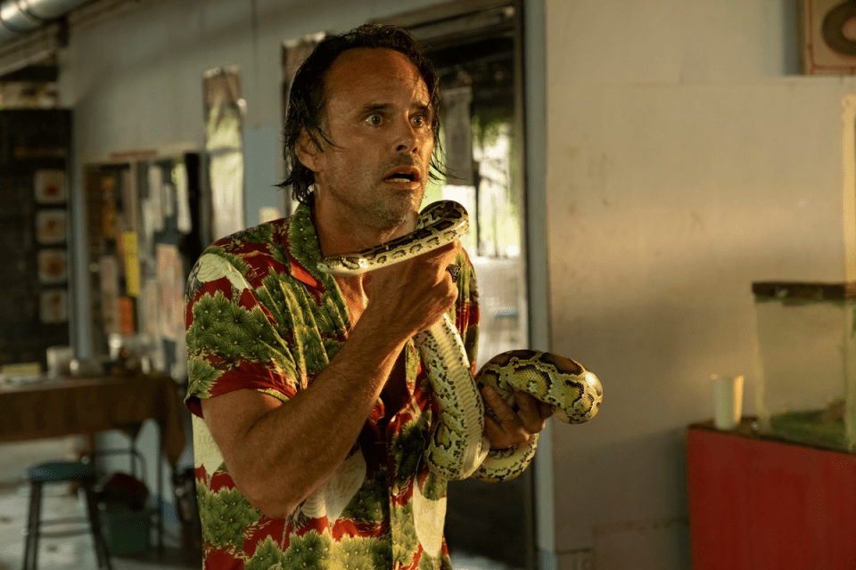 Walton Goggins holding a snake in White Lotus.