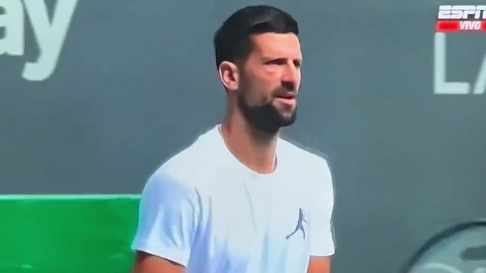 Novak Djokovic in a white shirt.
