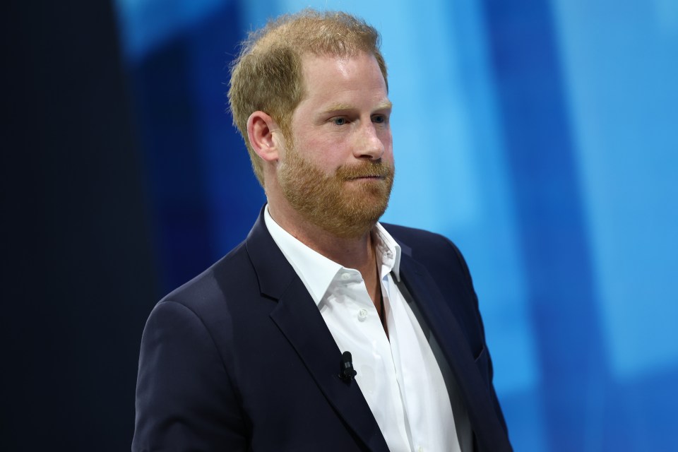 Prince Harry at the New York Times DealBook Summit.