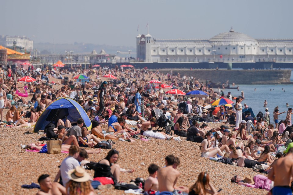 Crowded Brighton beach on a warm day.